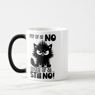 Allereerst, Geen Grappig Kattenliefhebber Cadeau Magische Mok