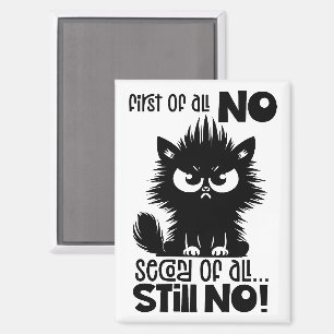 Allereerst, Geen Grappig Kattenliefhebber Cadeau Magneet