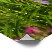 Allerlei mooie bloemen poster (Hoek)