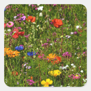 Allerlei mooie bloemen vierkante sticker