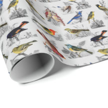 Allerlei soorten vogels inpakpapier