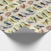 Allerlei soorten vogels - Kleur - Inpakpapier (Hoek)