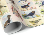 Allerlei soorten vogels - Kleur - Inpakpapier (Rol Hoek)
