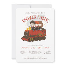Alles aan boord van de Hogwarts Express Magische V