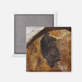 Alles alleen magneet (Voorkant / Achterkant)