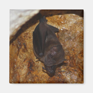 Alles alleen magneet