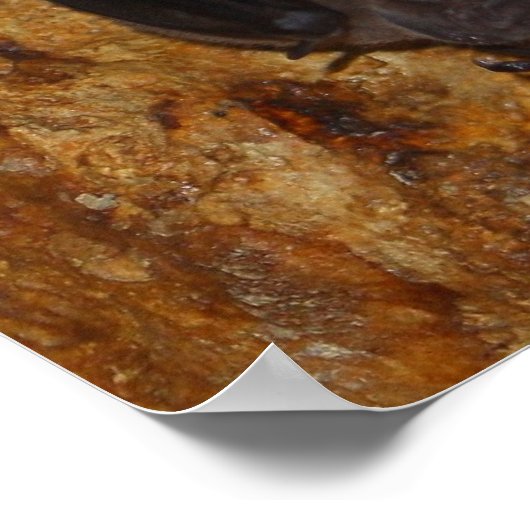 Alles alleen poster (Hoek)