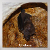 Alles alleen poster (Voorkant)