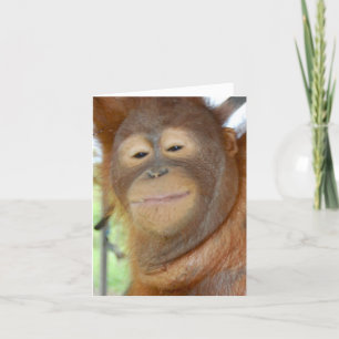 Alles - creëer uw eigen wenskaart kaart