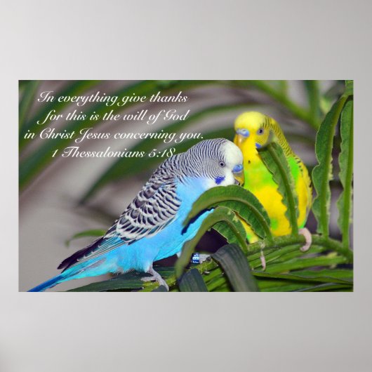 Alles geeft bedankt poster (Voorkant)