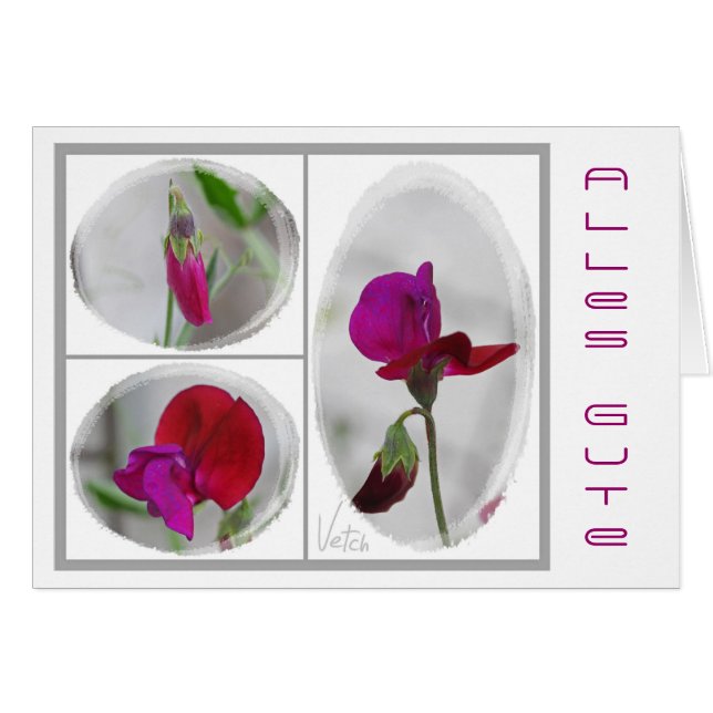 Alles Gute (Voorkant Horizontaal)