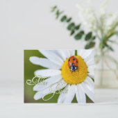 Alles Gute mit Glücks-Marienkäfer Briefkaart (Staand voorkant)