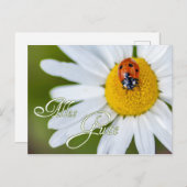 Alles Gute mit Glücks-Marienkäfer Briefkaart (Voorkant / Achterkant)