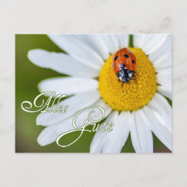 Alles Gute mit Glücks-Marienkäfer Briefkaart