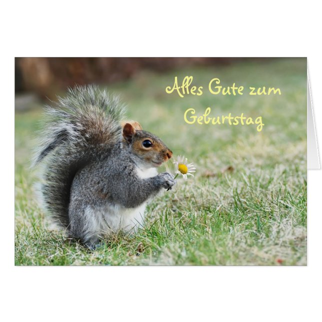 Alles Gute zum Geburtstag Squirrel Card (Voorkant Horizontaal)