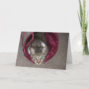 Alles Happy Card Kaart