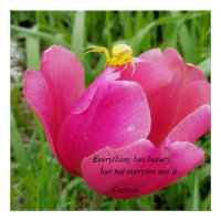 Alles heeft een mooie Confucius spin op Tulip