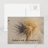 Alles heeft schoonheid, maar niet iedereen... briefkaart (Voorkant / Achterkant)
