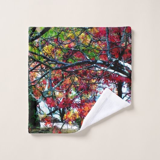 Alles helder en mooi bad handdoek (Wasdoekje)