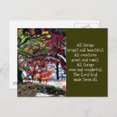 Alles helder en mooi briefkaart (Voorkant / Achterkant)