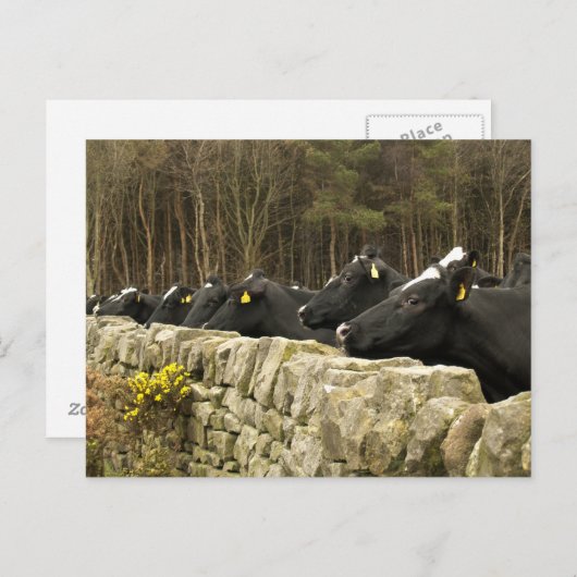 Alles in een Briefkaart (Voorkant / Achterkant)