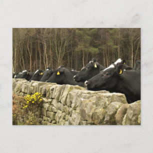 Alles in een Briefkaart