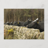 Alles in een Briefkaart (Voorkant)