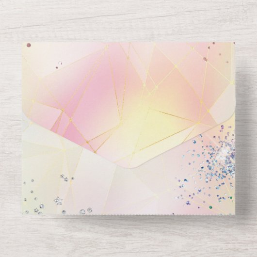 ALLES IN ÉÉN EENKORTE BURGERVERZOEK ALL IN ONE UITNODIGING (Achterkant)