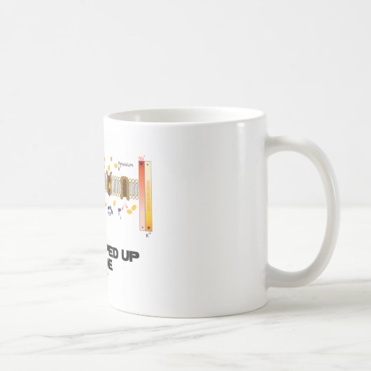 Alles ingepompt binnenin (Natrium-Kaliumpomp) Koffiemok (Rechts)