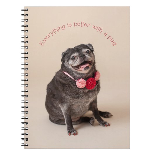 Alles is beter met een pug notitieboek (Voorkant)