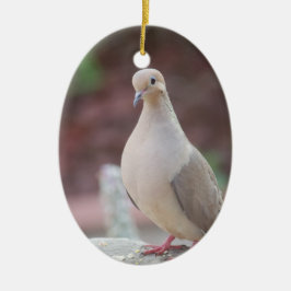 Alles is Coo. Keramisch Ornament