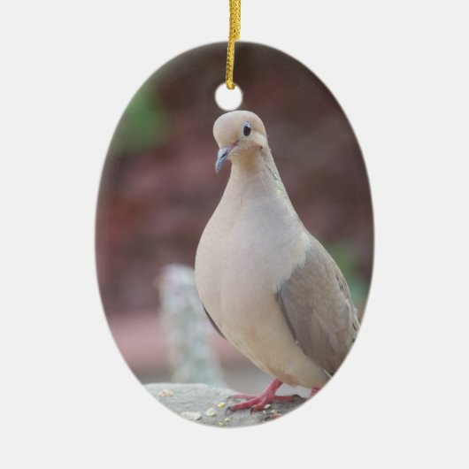 Alles is Coo. Keramisch Ornament (Voorkant)