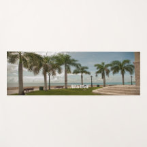 Alles is een goede oceaantropische palmNatuur geïn