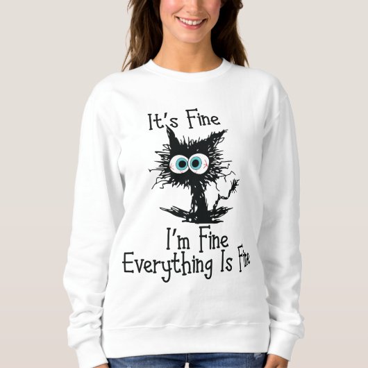 Alles is in orde, grappig kattensweatshirt trui (Voorkant)