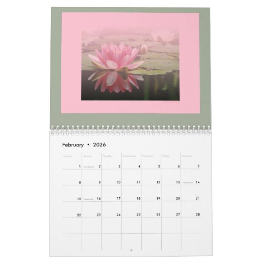 Alles is in Roze 2018 Kalender (Feb 2026)