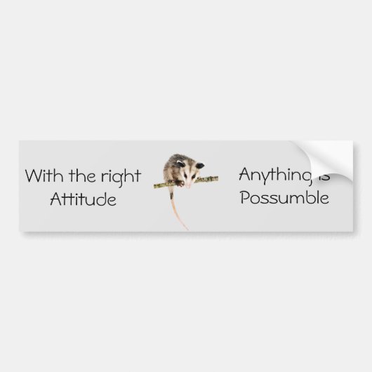 Alles is mogelijk met bumpersticker (Voorkant)