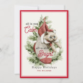 Alles is niet kalm grappig kat in kous kerst feestdagenkaart (Voorkant)