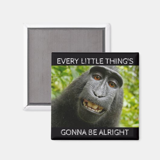 Alles is oké aap magneet (Voorkant / Achterkant)