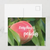 Alles is perachy / / / peach briefkaart (Voorkant / Achterkant)