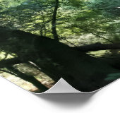 Alles is stil in Shadow Den, Muir Bossen Poster (Hoek)