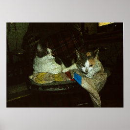 Alles is van Mij Poster