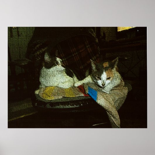 Alles is van Mij Poster (Voorkant)