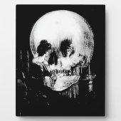 Alles is Vanity Charles Allan Gilbert Fotoplaat (Voorkant)