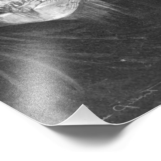 Alles is Vanity van Charles Allan Gilbert Foto Afdruk (Hoek)