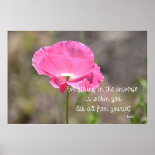 Alles klaproos poster