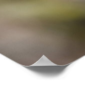 Alles klaproos poster (Hoek)