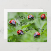 Alles Liebe zum Geburtstag! Briefkaart (Voorkant / Achterkant)