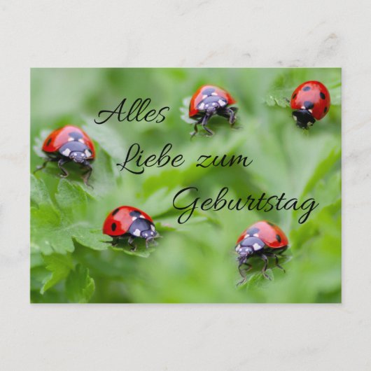 Alles Liebe zum Geburtstag! Briefkaart (Voorkant)