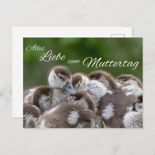 Alles Liebe zum Muttertag Briefkaart (Voorkant / Achterkant)