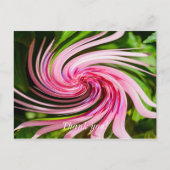 Alles omhoog gedraaid briefkaart (Voorkant)